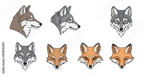 Wildlife portraits wolf and fox illustrations on black background