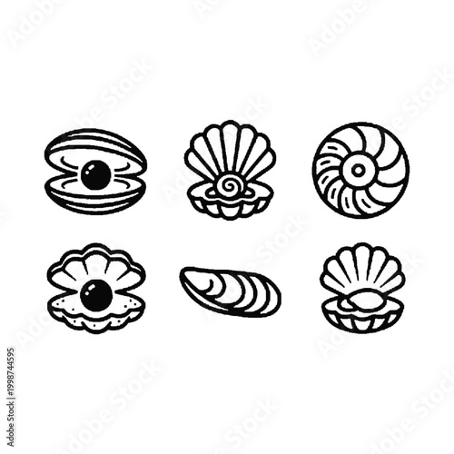 Six black line drawings of various seashells on white background showcase oceanic treasures