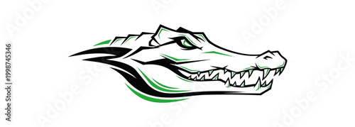 Alligator silhouette in darkness with green accents