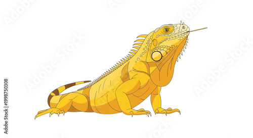 Large Yellow Iguana Reptile Animal.