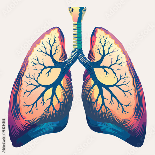 Anatomical Lungs Illustration: A stylized and vibrant illustration of the human lungs showcases the intricate structure of the respiratory system. 