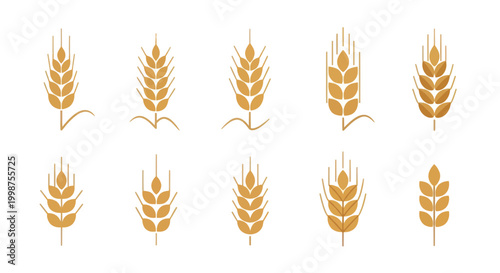 Golden Wheat Ears Collection - Organic Food and Agriculture Symbols