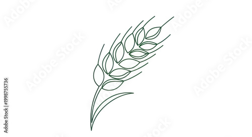 Minimalist Wheat Ear Icon - Line Art Graphic on White Background
