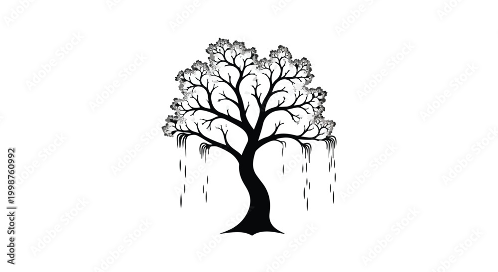 Fototapeta premium Stylized weeping willow tree silhouette with cascading branches against a stark white background.