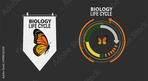 Butterfly Life Cycle Biology Infographic.
