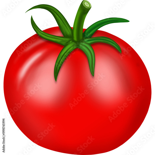 Red Tomato Isolated on White Background 3D Illustration