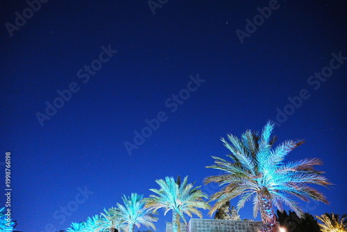 Luxury Resort Swimming Pool at Night with illuminated Palm Trees and Summer Vacation Vibes - 夏の夜のラグジュアリーなプールサイド ライトアップされたヤシの木とリゾートの風景
