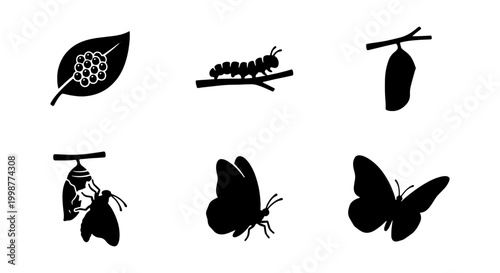 Εκτύπωση καμβά Butterfly Life Cycle Silhouette Set Minimalist Black And White Vector Icon Pack