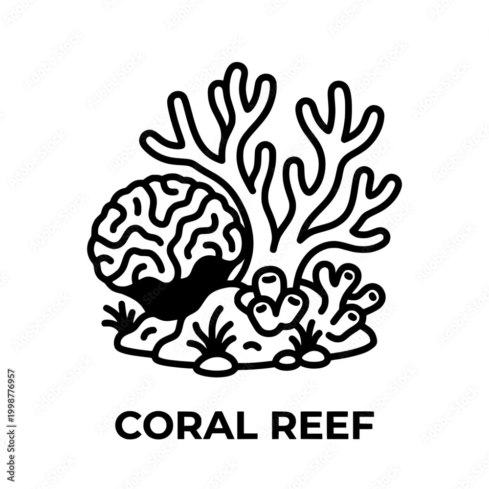 Fototapeta premium Coral Reef with Brain Coral and Branching Coral.