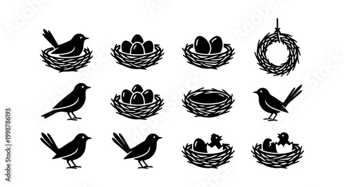 Foto Set of Bird Nest Silhouettes with Eggs Hatching Chicks and Flying Birds