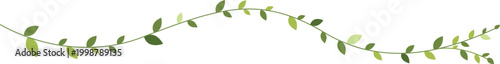 An elegant horizontal green vine illustration featuring delicate wavy branches and various shades of green leaves