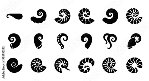 Nautilus Shell Icons, Black and White Spiral Shells, Oceanic Symbols, Vector Illustration Set of 16