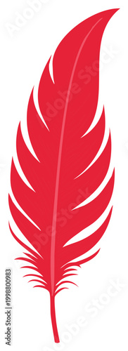 Single decorative red bird feather illustration, elegant plume with intricate texture