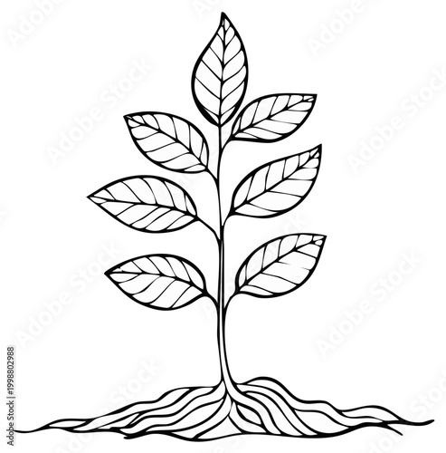 Hand drawn sketch of seedling growing plant with roots. Vector illustration of tree sapling isolated on white. Sprout concept design for environment and nature.