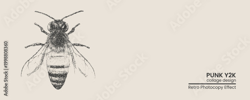 Vintage sketch of a honey bee, detailed handdrawn insect illustration with a distressed retro photocopy texture on a light beige background