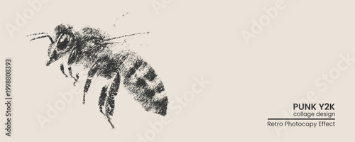 Vintage sketch of a honey bee, handdrawn illustration with a textured retro photocopy effect, artistic insect graphic design element