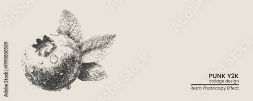 Handdrawn sketch of a blueberry with leaves, vintage charcoal style illustration, artistic botanical drawing on a light beige background