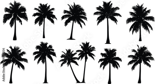 Black silhouettes of various palm trees 