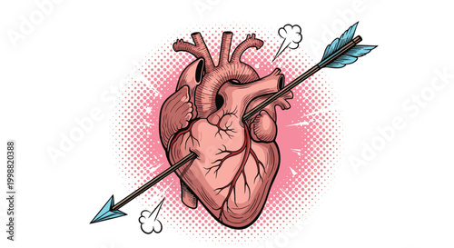 Realistic anatomical human heart pierced through by a large feathered arrow against a pink halftone dot circular background.