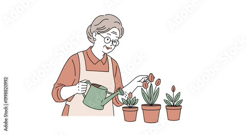 Elderly woman with glasses and an apron happily watering her potted tulips with a green watering can in a simple and clean illustration.