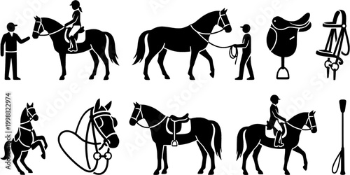 This comprehensive collection of equestrian icons depicts horse riding lessons, training equipment, and horse care items, suitable for educational materials, sports websites, and