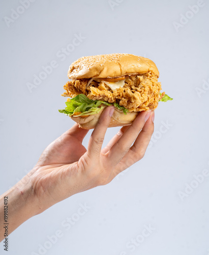 Hand holding a fried chicken burger isolate on white background
