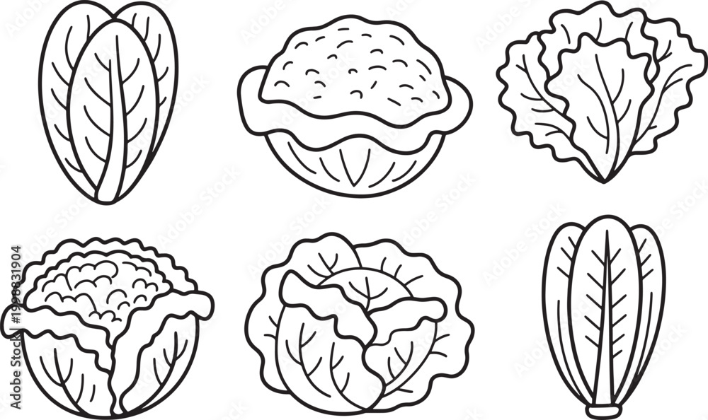 Fototapeta premium Outline Lettuce and Cabbage Vegetables Icon Set Black and White
