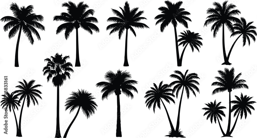 Fototapeta premium Collection of black silhouette palm trees on white background, tropical