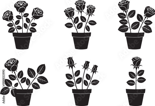 Collection of black and white rose illustrations in pots