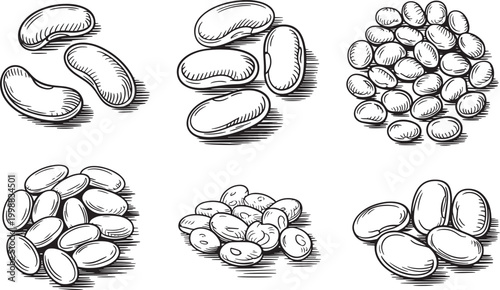 Variety of grains and seeds including beans, lentils, and pulses