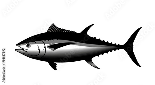Dynamic monochromatic illustration of a powerful tuna fish, capturing its sleek form and aquatic essence in a captivating design element for marine themes