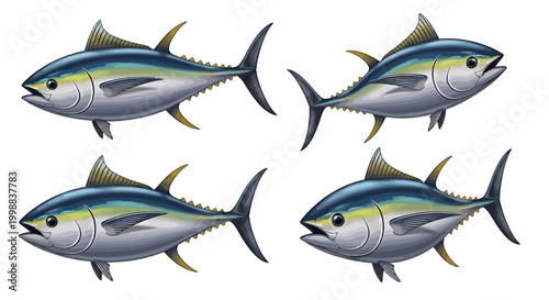 Four illustrations of tuna fish swimming from left to right, each fish with a vibrant blue-green body and yellow fins