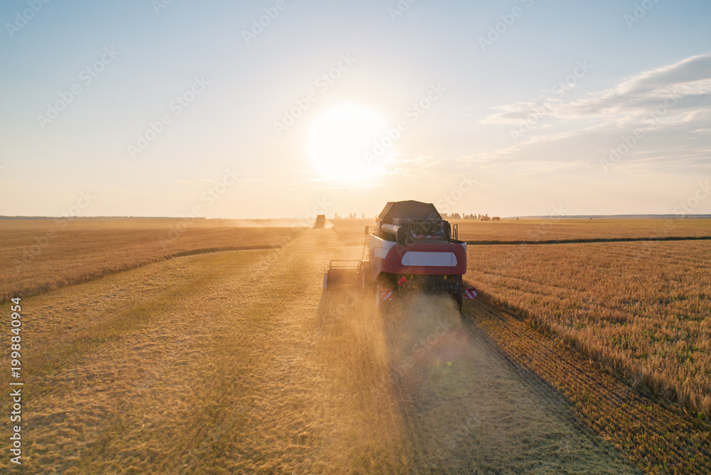 Fototapeta premium Aerial view captures combine harvester diligently working a vast golden wheat field at sunset, kicking up dust