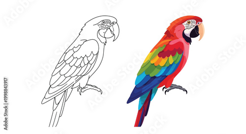 Colorful vector illustration of a macaque parrot in profile