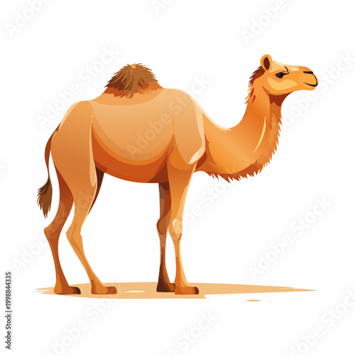 Camel Standing Alone Side View.