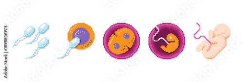 Pixel art stages of human fertilization from sperm and egg cell to embryo and fetus development. Scientific biology process in 8-bit retro gaming style. Vector illustration