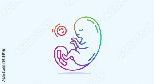 Fetus development, rainbow gradient, early pregnancy, human embryo, umbilical cord, conception