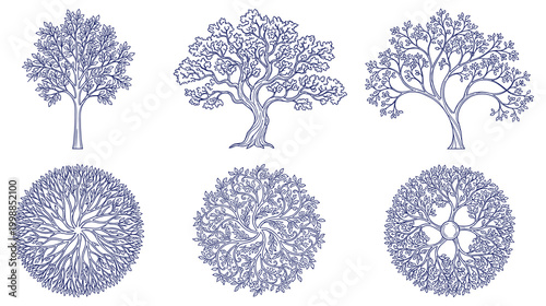 Detailed blue ink line art of trees and circular canopy top views.