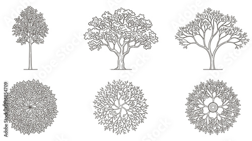 Collection of various tree silhouettes in sketch style nature wood design.