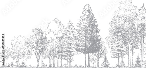 Retro woodland scene with rough grunge backdrop Classic tree illustration with aged textured surface