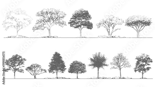 Gen Z style woodland with stipple texture effect Abstract forest design with retro photocopy look