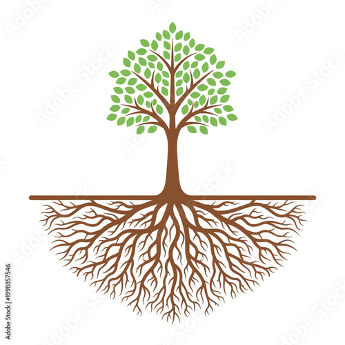 Stylized Tree with Extensive Root System, Symbolizing Growth, Nature, and Connection