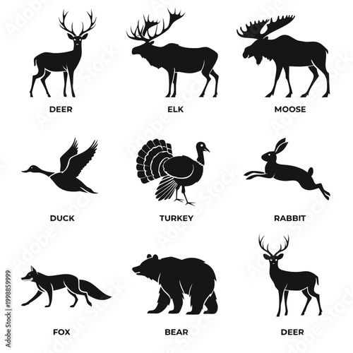 Photography wild animals silhouettes