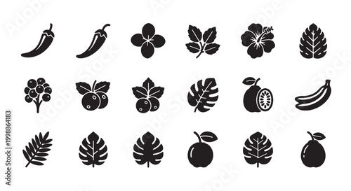Tropical fruit and exotic leaf icons, set of 18 black silhouette vector symbols, botanical elements for food packaging and menu design
