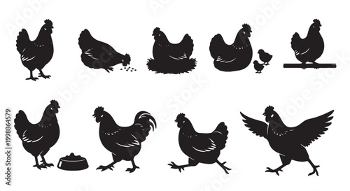 Black chicken silhouette collection, farm poultry bird vector set, hen and rooster icons for organic food branding and agriculture design