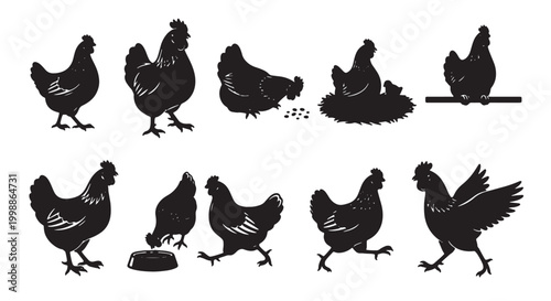 Vintage chicken silhouette vector set, rustic farm hen illustrations in black, 10 poultry bird icons for organic food branding and rural farm design
