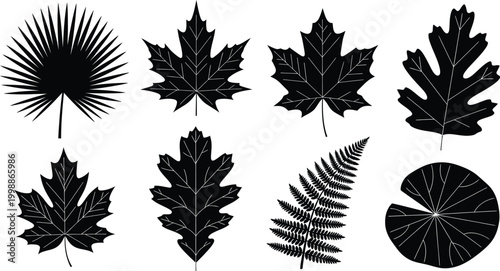 Collection of black silhouette leaves and fern frond on white background, leaf