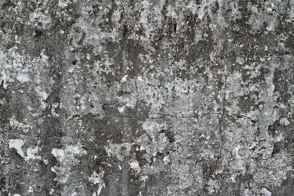 Fototapeta premium Textured Grey Concrete Wall Surface with Peeling Paint Details and Weathered Appearance, Offering a Rustic and Industrial Aesthetic for Backgrounds and Design Projects