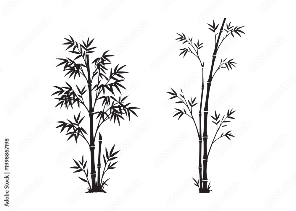 Fototapeta premium Black silhouette of two bamboo plants with leaves and stems on white background
