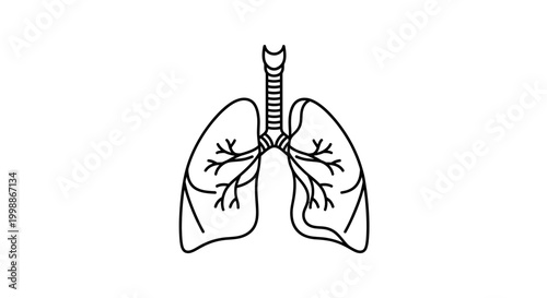 Line art illustration of human lungs, trachea, and bronchi, medical symbol